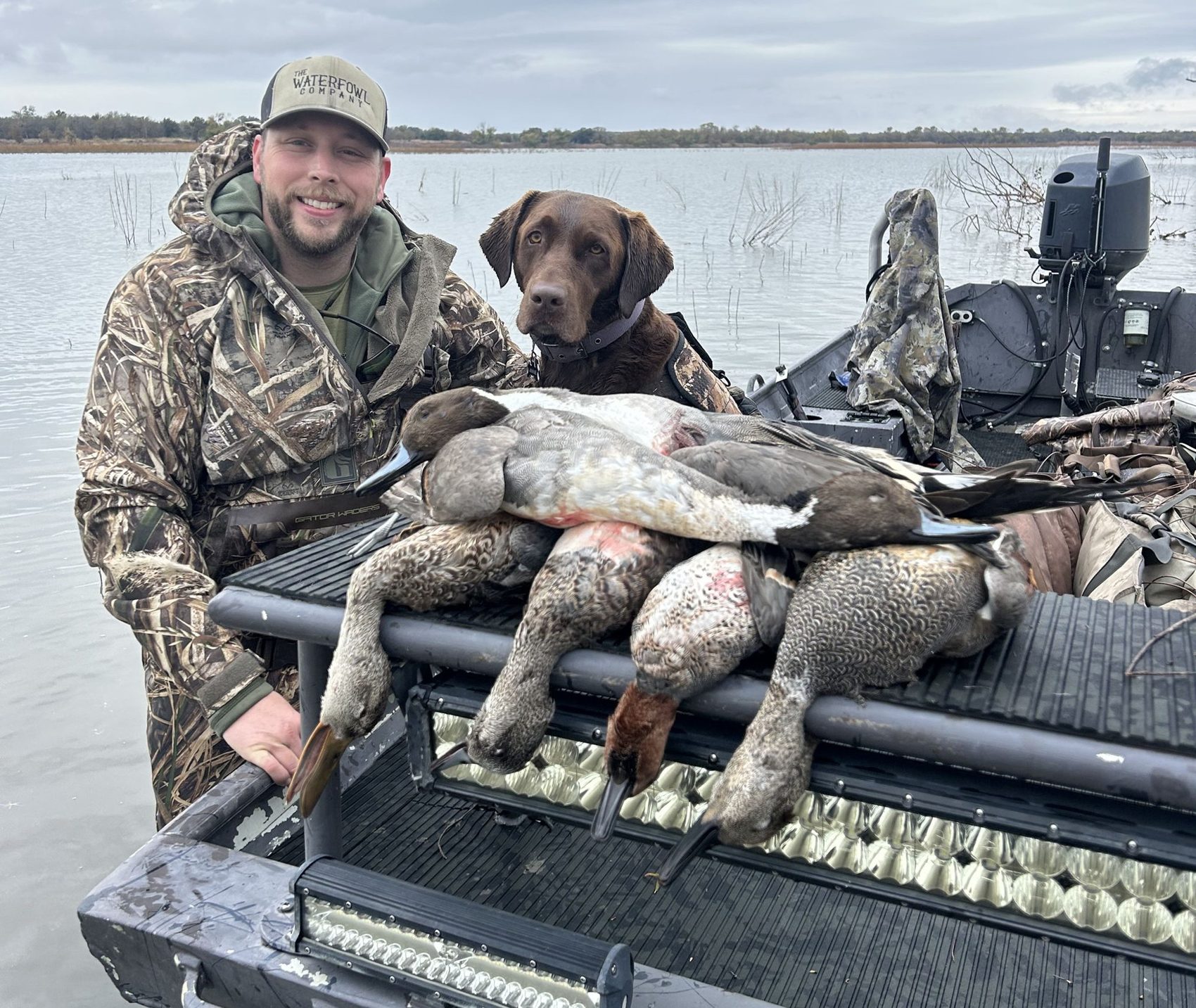 Guide and chocolate Lab with a morning's spread of ducks on the boat